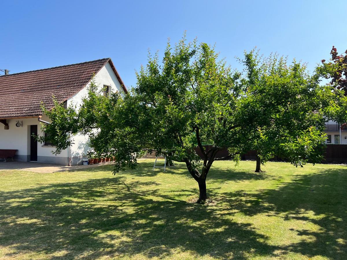 Apartment Bonne Idee - Georgette - Meuble De Tourisme 3 Etoiles *